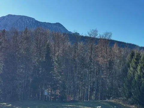 Nähe Hochöd