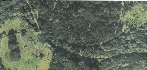 Landwirtschafts-/Waldfläche in Heidelberg-Ziegelhausen
