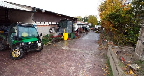 Landwirtschaftliches Grundstück mit Hallen und Wirtschaftsgebäuden