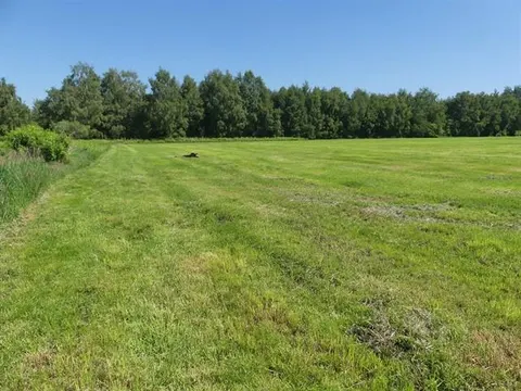 Landwirtschaftliches Grundstück (Ackerland)
