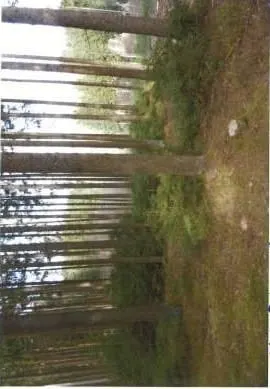 Ackerland, Grünland und Wald in Döbra