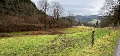 Grünland in Winterberg-Niedersfeld
