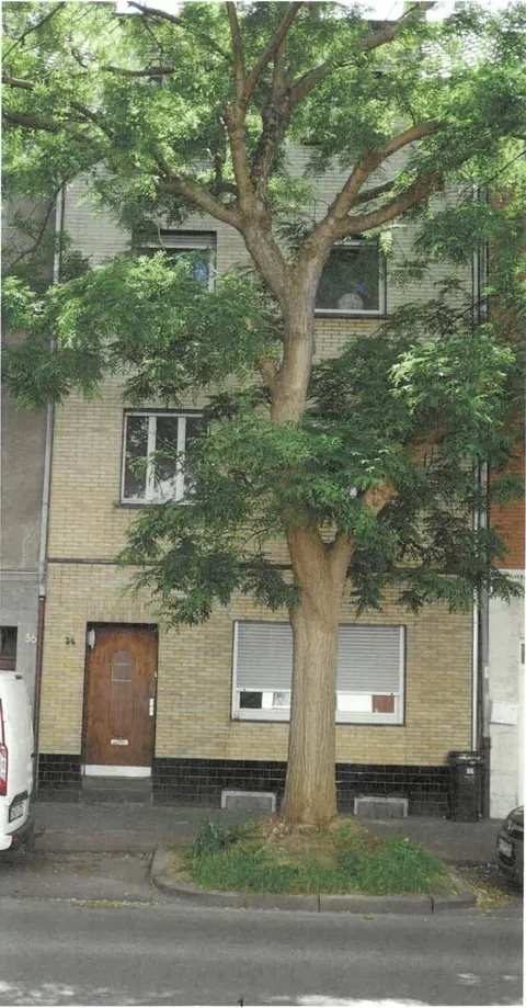 Mehrfamilienhaus (4 WE) mit Sanierungsbedarf