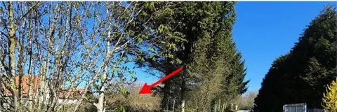 Unbebautes Grundstück in Altenkirchen OT Schwarbe