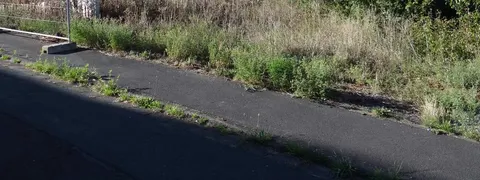 Unbebautes Grundstück in Bad Kissingen