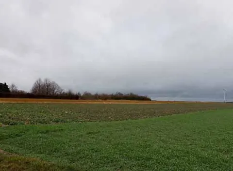Landwirtschaftliche Fläche in Erftstadt