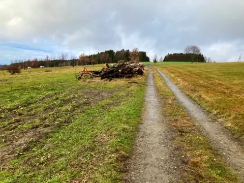 land- und forstwirtschaftlich genutztes Grundstück