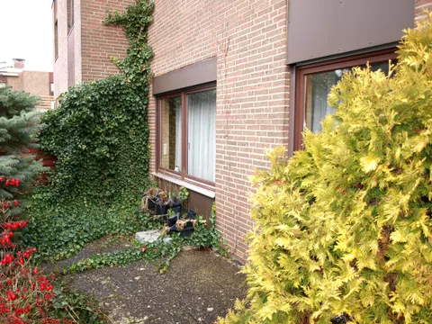 Reihenhaus in Hakenfelde