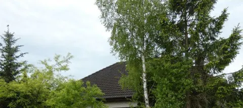 Einfamilienhaus nebst 2 Garagen
