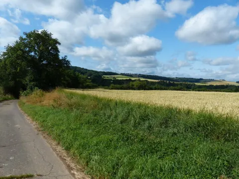 Landwirtschaftliche Grundstücke (2 Flurstücke)