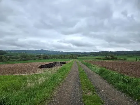 Landwirtschaftsgrundstück mit Waldstück