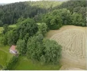 Landwirtschaftliche Nutzfläche in Thurmansbang
