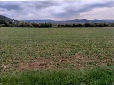 Landwirtschaftsfläche